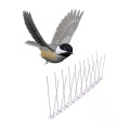 Pointe d&#39;oiseau, y compris le perchoir anti-pigeon